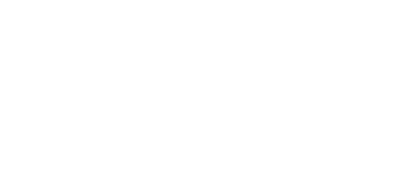 Logo ANMP - ORG